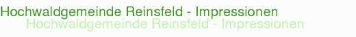 Hochwaldgemeinde Reinsfeld - Impressionen